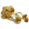 Thai Elephant Dung